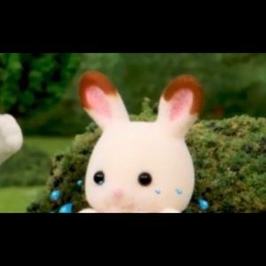 Meet your Posher, Elle